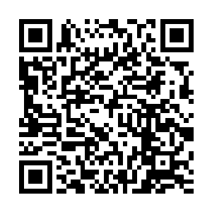 完全茫然而无助的感觉实在是令王猛感觉到了一种深深的屈辱二维码生成