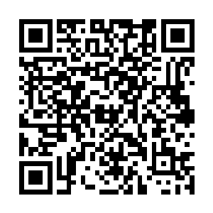 完全被萧航那连环的几巴掌给拍的懵得不能再懵了二维码生成