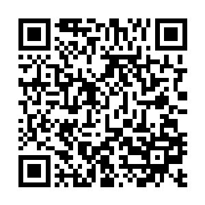 完全让田青峰这些蓝玉门弟子在镇海山一家独大也是不行的二维码生成