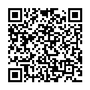 完全跟传言中的秦方父子对不上号的……无论是相貌还是身材上二维码生成