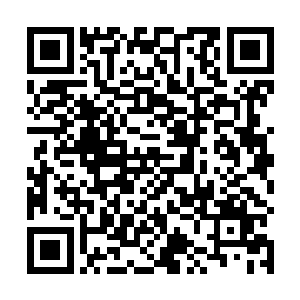 完完全全是王振科从东南亚组织带来的手下占据了上风二维码生成