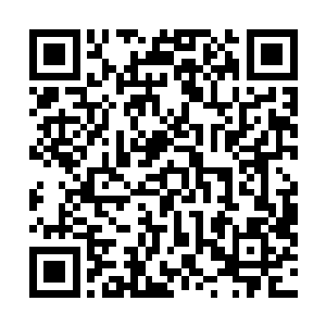完成这个最终决定他们能不能参加大混战的先决条件任务二维码生成