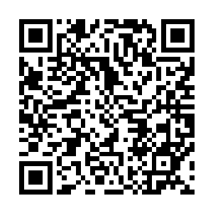 完美地让凌蘭在他的第二十三军用两种身份自由地活着……二维码生成