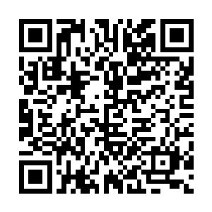 完美格挡不高于本身150%力量的的物理攻击或者中级单体魔法二维码生成