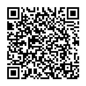 宗主大人已经被小幼崽刺激的流鼻血了……投胎成主神幼崽什么的二维码生成