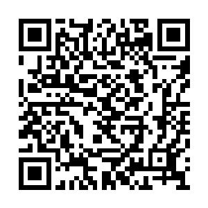 宗宝现在反倒是一副不愿意跟我一般见识的样子二维码生成