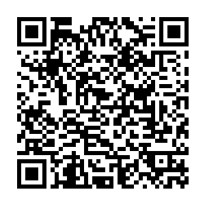 宗族只不过是因为很久以前曾出现过一位半神至尊而得到的主导地位二维码生成
