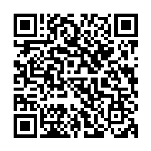 宗育博几个苦着……他们实在是不敢招惹那么团结的三年级了啊二维码生成
