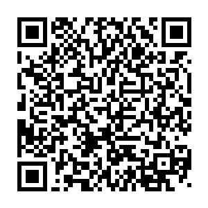 宗门中的丹符器阵四堂炼制出来的东西完全能够支撑如今宗门的运转二维码生成