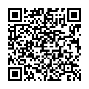 宗门功法的整理已经各种玄级和黄级功法的收集就交给你了二维码生成