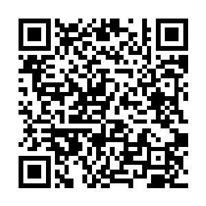 官家都护不住的…………结果却还是避不开…………二维码生成