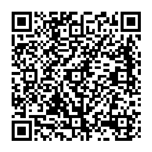 定国王府闭门谢客让无论是担心的还是想要打探消息的统统无从知道定国王妃的真是消息二维码生成