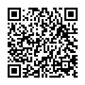 定定价赋量赞润运  哪怕魂力转化为混沌之力的效率不高二维码生成