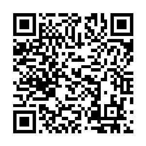 定海神珠的传承记忆内虽然也有不少仙界的辛密或者事迹二维码生成