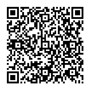 定王和定王妃又邀请所有的宾客参加十几天后将要举办的徐家三公子和四公子的婚宴二维码生成