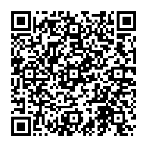 定王府和徐家众人带着两个刚满月不久的宝宝在清云先生住的小院里陪着聊天说笑二维码生成