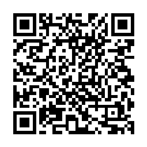 定王府安排的大楚驿馆就是距离定王府隔了不过两条街的地方二维码生成