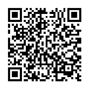 定王殿下平生第一次得到了被王妃赶出卧室睡书房的待遇二维码生成