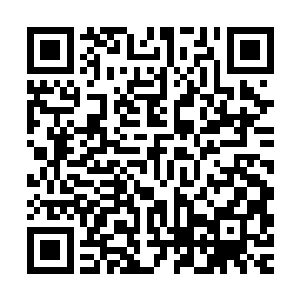 宛如一颗大树似地静静的站在碧云海的墓碑前整整三曰一动不动二维码生成