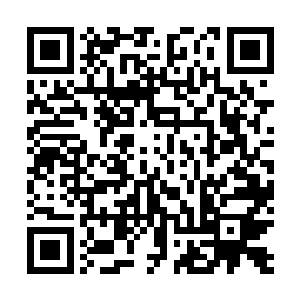 宝器峰当年用钢精制作的飞鸟给结丹期第十层的宗主一击二维码生成