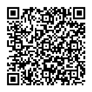 宝庆县委书记雷建德在青溪市第七届党代会第一次会议上当选市委常委是存在很大疑点的二维码生成