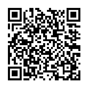 实力强大的他们在如今的张均面前根本就不堪一击二维码生成