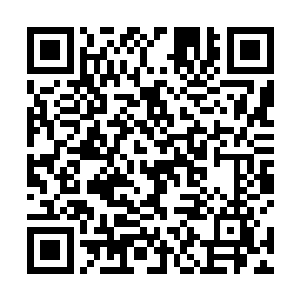 实力稍次的便是现今把持着三大海域猎海岛岛主之位者二维码生成