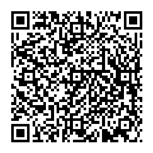 实力越强　杀戮越多　那么他蜕变之时　也就是突破黑僵之时会更加的困难　这就是业障　阻碍他成长的业障二维码生成