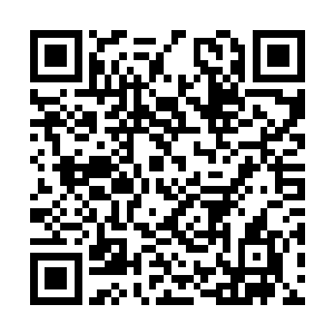 实力跟身份注定了他们不在代离可以预测的范围内二维码生成