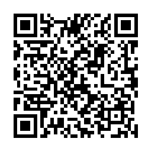 实力非常之狂暴的……估计距离同级无敌也差不多太远了二维码生成