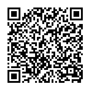 实在不愿意让她们再跟着自己去火拼侯小白这些毫无人性的生化改造人二维码生成