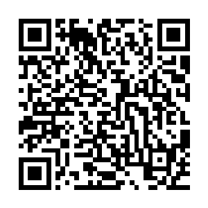 实在不明白啊贵妃娘娘怎么去了一趟定王府就伤成这个样子了二维码生成