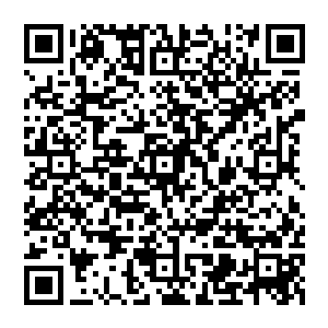 实在不行就看网页版的吧・・・毕竟我已经对书城绝望了~话说亲们是怎么从书城找到小鱼的文哒二维码生成