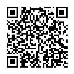 实在不行的话你可以等自己的修为提高之后再报仇也不迟啊二维码生成