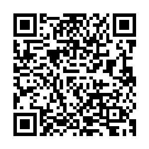 实在也舍不得放手…………干脆抹抹胡子扰了老种小种相公也罢二维码生成