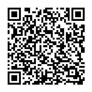 实在想不明白到底是什么东西竟能让一个宗门兴盛到如今这样的程度二维码生成