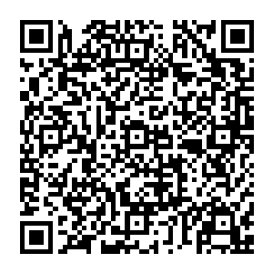 实在是……没有任何人在看过了活人瞬间变成骨灰的浩大场面之后还能有勇气将地上的丹云神丹收进自己怀里二维码生成