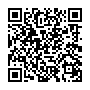 实在是因为妖怪在这个鬼地方就是拉仇恨的第一目标二维码生成