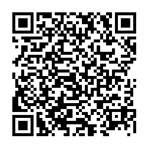 实在是在这万金阁里敢这样对顾客的也就只有刚刚毕业就拜金而来的大学生了二维码生成