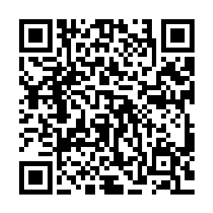 实在是她的前身张清九的记忆里并没有修炼是这般舒服的记忆二维码生成