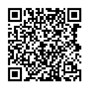 实在是张潇晗从来没有利用过契约主人的身份欺压过他二维码生成