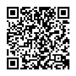 实在是得益于她在杭州帮她小舅舅算账和上辈子主持中馈的经历二维码生成