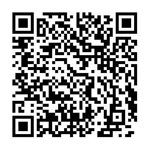 实在是想不明白龟族王者又去哪里找來了三位实力如此可怕的强者二维码生成