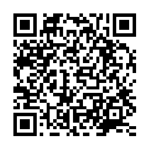 实在是搞不明白这些人为什么都那么喜欢给自己换漂亮的新衣服二维码生成