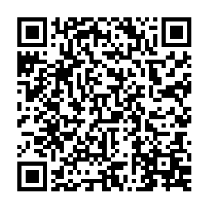 实在是无法想象秦方是怎么能够在他那样狂暴的一掌之下活下来的二维码生成