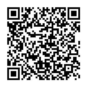 实在是眼前这个小家伙的造型实在是让秦方有一种摸不着头脑的感觉二维码生成