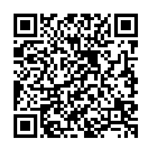 实在是老鼠强那红果果的眼神让这样未经人事的少女很是害怕二维码生成