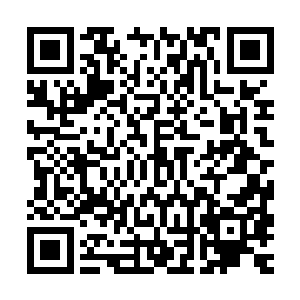 实在有些想不明白对方到底是瞎猫碰到死耗子还是真的有的放矢二维码生成