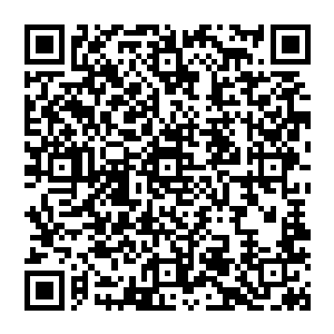 实打实帮助了他们才得到的……甚至还有那些适龄的有才情的俊美的小伙们对她的倾慕……所以二维码生成