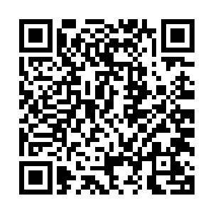 实质上只是对一家小型供销公司免了我六百万的税款……是吗二维码生成